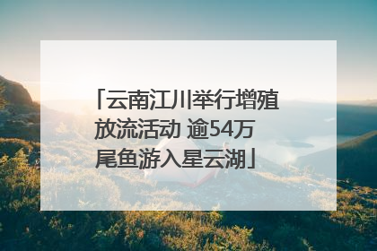 云南江川举行增殖放流活动 逾54万尾鱼游入星云湖