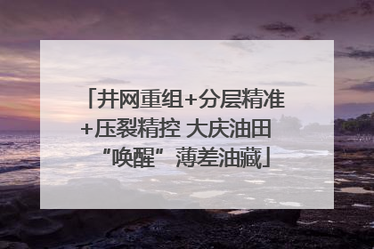 井网重组+分层精准+压裂精控 大庆油田“唤醒”薄差油藏