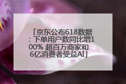 京东公布618数据：下单用户数同比增100% 超百万商家和6亿消费者受益AI