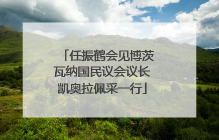 任振鹤会见博茨瓦纳国民议会议长凯奥拉佩采一行