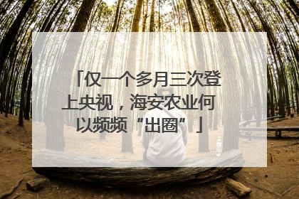 仅一个多月三次登上央视，海安农业何以频频“出圈”