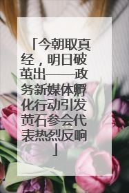 今朝取真经，明日破茧出——政务新媒体孵化行动引发黄石参会代表热烈反响