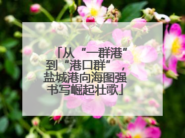 从“一群港”到“港口群”，盐城港向海图强书写崛起壮歌