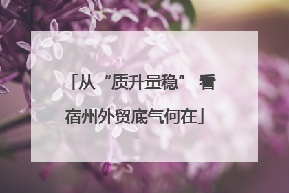 从“质升量稳” 看宿州外贸底气何在