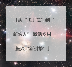 从“飞手荒”到“新农人” 激活乡村振兴“新引擎”