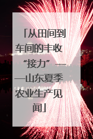 从田间到车间的丰收“接力”——山东夏季农业生产见闻