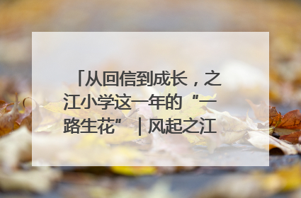 从回信到成长，之江小学这一年的“一路生花”｜风起之江 扶摇直上