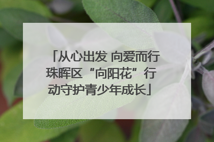 从心出发 向爱而行 珠晖区“向阳花”行动守护青少年成长