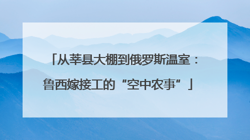 从莘县大棚到俄罗斯温室：鲁西嫁接工的“空中农事”