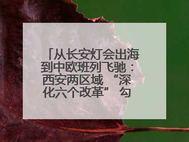 从长安灯会出海到中欧班列飞驰：西安两区域 “深化六个改革” 勾勒发展新画卷