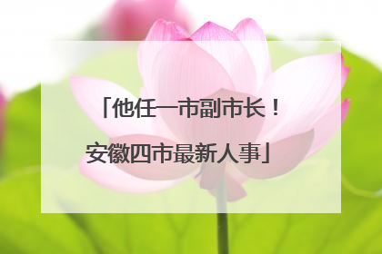 他任一市副市长！安徽四市最新人事