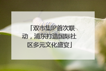 双市集IP首次联动，浦东打造国际社区多元文化盛宴