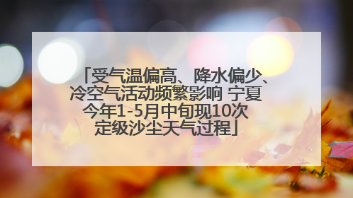 受气温偏高、降水偏少、冷空气活动频繁影响 宁夏今年1-5月中旬现10次定级沙尘天气过程