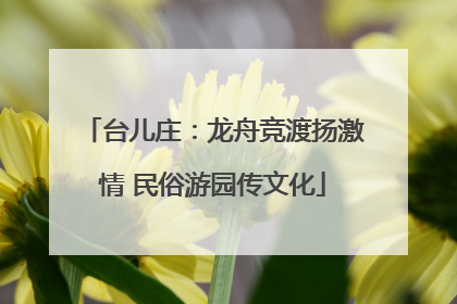 台儿庄：龙舟竞渡扬激情 民俗游园传文化
