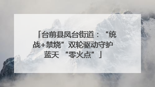 台前县凤台街道：“统战+禁烧”双轮驱动守护蓝天 “零火点”