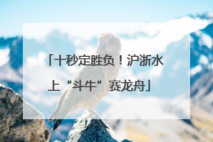 十秒定胜负！沪浙水上“斗牛”赛龙舟