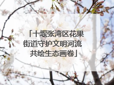 十堰张湾区花果街道守护文明河流 共绘生态画卷