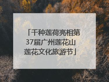 千种莲荷亮相第37届广州莲花山莲花文化旅游节