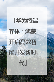 华为终端龚体：鸿蒙开启高效智能开发新时代