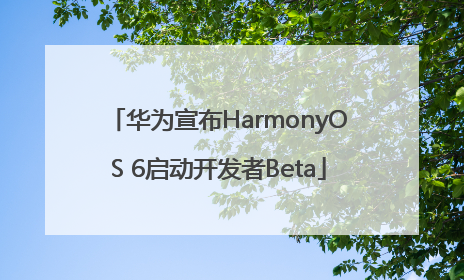 华为宣布HarmonyOS 6启动开发者Beta