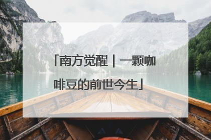 南方觉醒｜一颗咖啡豆的前世今生