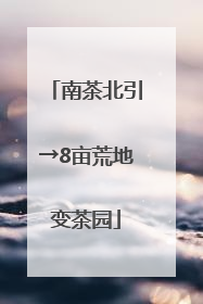南茶北引→8亩荒地变茶园