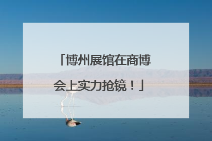 博州展馆在商博会上实力抢镜！