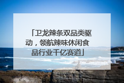 卫龙辣条双品类驱动，领航辣味休闲食品行业千亿赛道