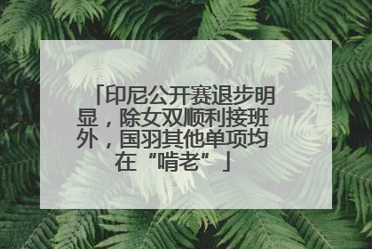 印尼公开赛退步明显，除女双顺利接班外，国羽其他单项均在“啃老”