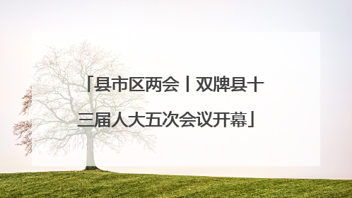 县市区两会丨双牌县十三届人大五次会议开幕