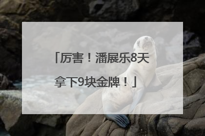 厉害！潘展乐8天拿下9块金牌！
