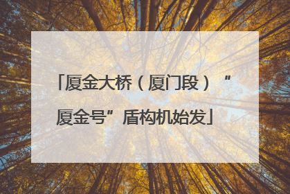 厦金大桥（厦门段）“厦金号”盾构机始发