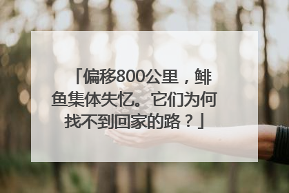偏移800公里，鲱鱼集体失忆。它们为何找不到回家的路？