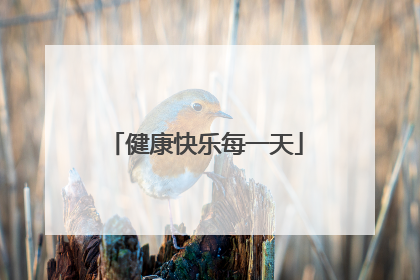 健康快乐每一天