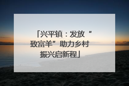 兴平镇：发放“致富羊”助力乡村振兴启新程