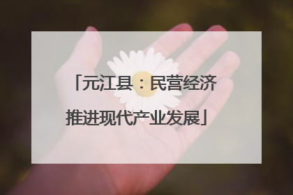 元江县：民营经济推进现代产业发展