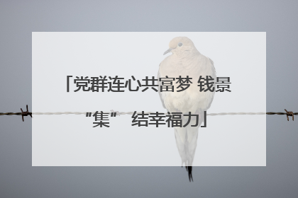 党群连心共富梦 钱景 “集” 结幸福力