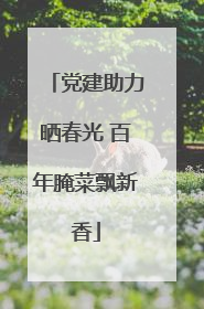 党建助力晒春光 百年腌菜飘新香