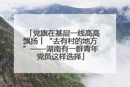 党旗在基层一线高高飘扬丨“去有村的地方”——湖南有一群青年党员这样选择