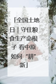 全国土地日｜守住粮食生产命根子 看中原如何“耕”新