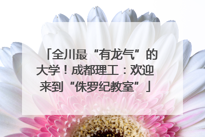 全川最“有龙气”的大学！成都理工：欢迎来到“侏罗纪教室”