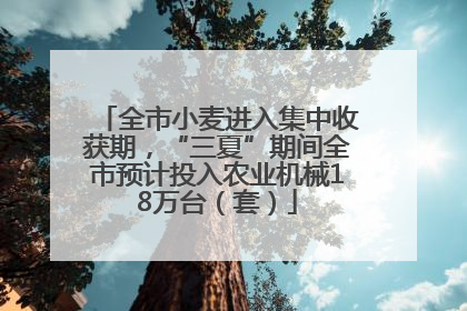 全市小麦进入集中收获期，“三夏”期间全市预计投入农业机械18万台（套）