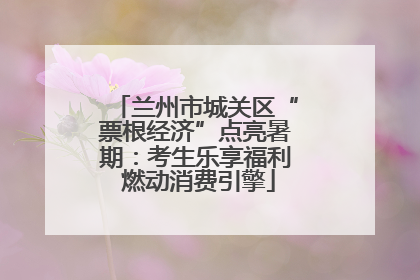 兰州市城关区“票根经济”点亮暑期：考生乐享福利 燃动消费引擎