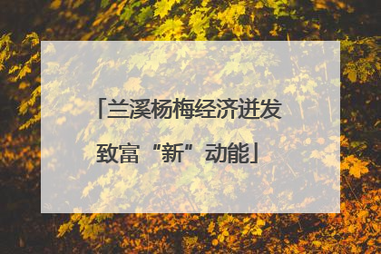 兰溪杨梅经济迸发致富“新”动能