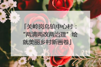 关岭岗乌镇中心村：“两清两改两治理”绘就美丽乡村新画卷