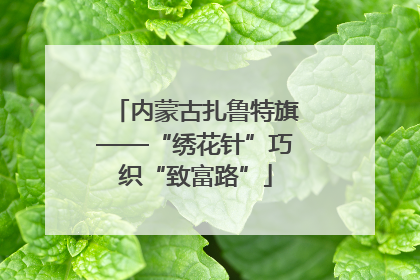 内蒙古扎鲁特旗——“绣花针”巧织“致富路”