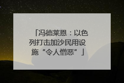 冯德莱恩：以色列打击加沙民用设施“令人憎恶”