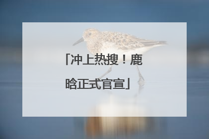冲上热搜！鹿晗正式官宣