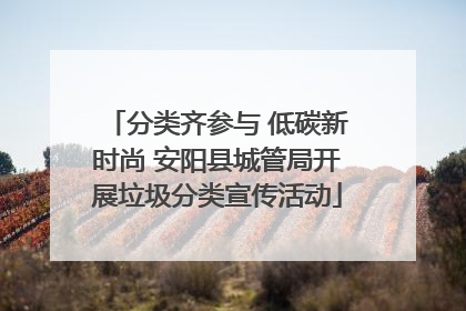 分类齐参与 低碳新时尚 安阳县城管局开展垃圾分类宣传活动