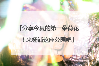 分享今夏的第一朵荷花！来杨浦这座公园吧